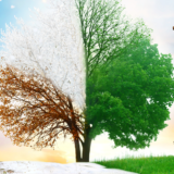 一月往ぬる、二月逃げる、三月去る