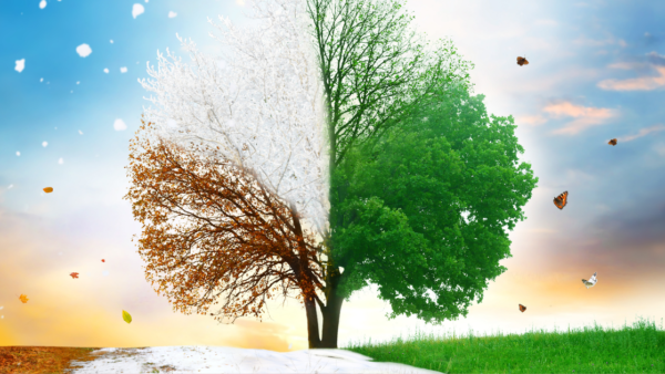 一月往ぬる、二月逃げる、三月去る