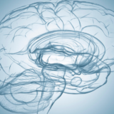 若々しい神経系を保つために