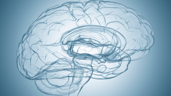 若々しい神経系を保つために