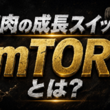筋肉の成長スイッチ「mTOR」