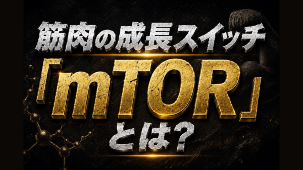 筋肉の成長スイッチ「mTOR」