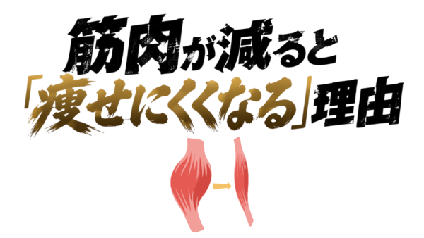 筋肉が減ると「痩せにくくなる」理由