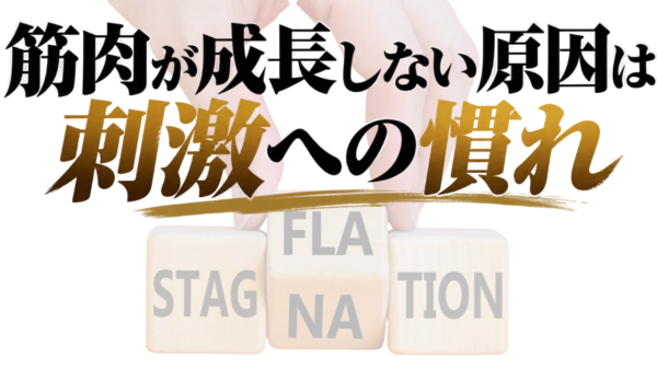 成長しない原因は『刺激への慣れ』
